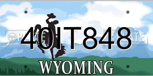 40IT848 Wyoming License Plate