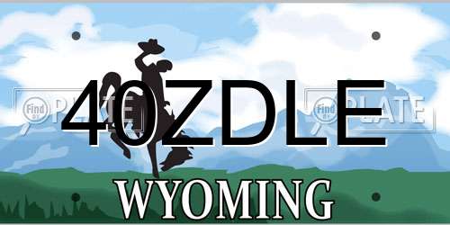 40ZDLE Wyoming License Plate
