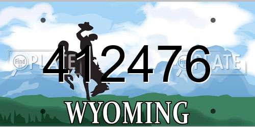412476 Wyoming License Plate