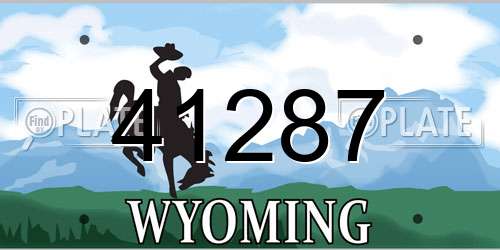 41287 Wyoming License Plate