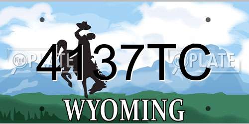 4137TC Wyoming License Plate