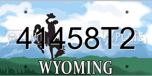 41458T2 Wyoming License Plate