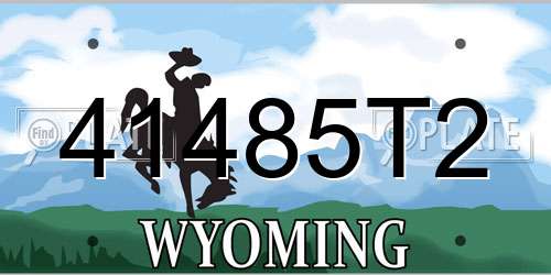 41485T2 Wyoming License Plate