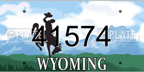 41574 Wyoming License Plate