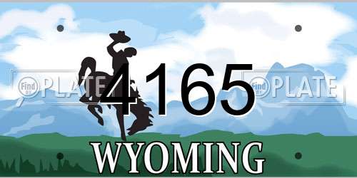 4165 Wyoming License Plate
