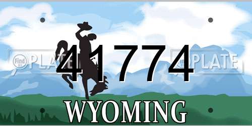 41774 Wyoming License Plate