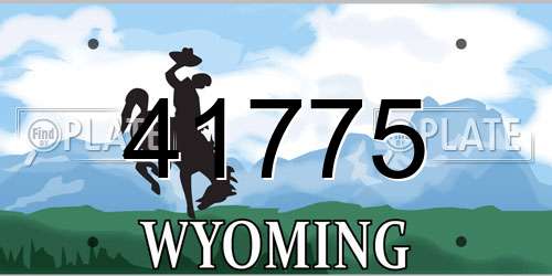 41775 Wyoming License Plate