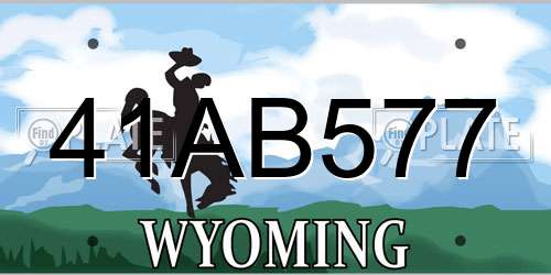 41AB577 Wyoming License Plate
