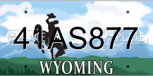 41AS877 Wyoming License Plate