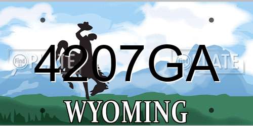 4207GA Wyoming License Plate
