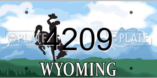 4209 Wyoming License Plate