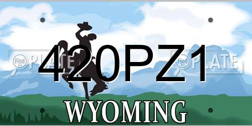 420PZ1 Wyoming License Plate