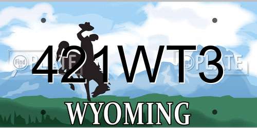 421WT3 Wyoming License Plate