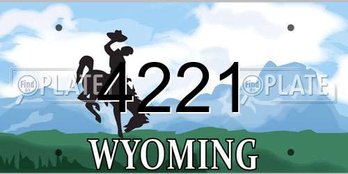4221 Wyoming License Plate