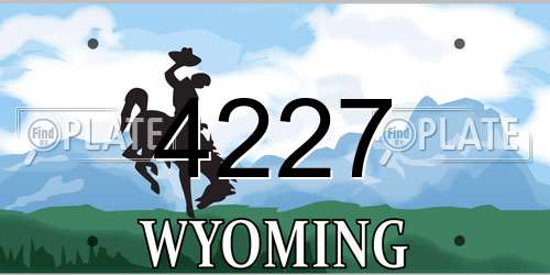 4227 Wyoming License Plate