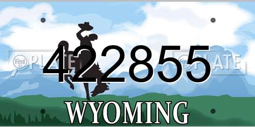 422855 Wyoming License Plate
