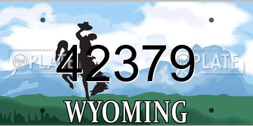 42379 Wyoming License Plate