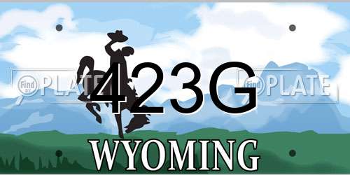 423G Wyoming License Plate