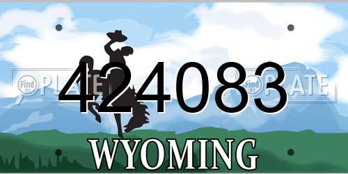 424083 Wyoming License Plate