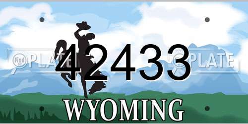 42433 Wyoming License Plate