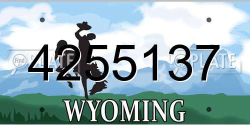 4255137 Wyoming License Plate