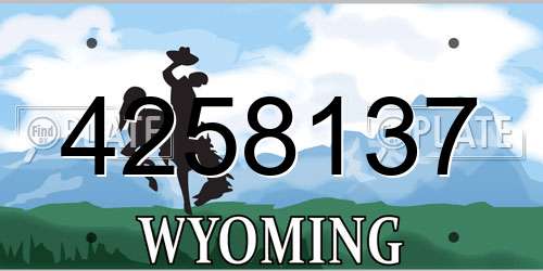 4258137 Wyoming License Plate