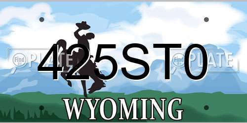 425ST0 Wyoming License Plate