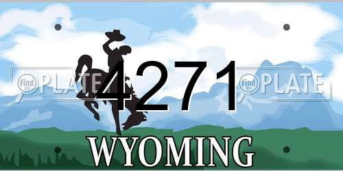 4271 Wyoming License Plate