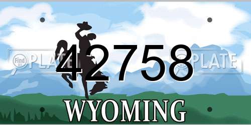 42758 Wyoming License Plate