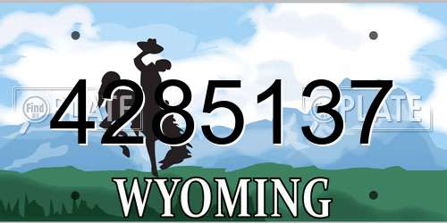 4285137 Wyoming License Plate