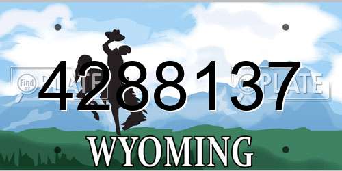 4288137 Wyoming License Plate