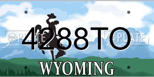 4288TO Wyoming License Plate