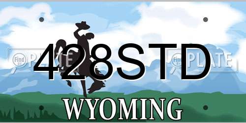 428STD Wyoming License Plate