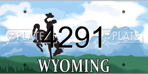 4291 Wyoming License Plate