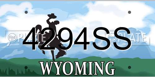 4294SS Wyoming License Plate