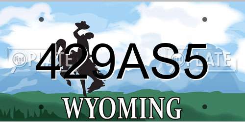 429AS5 Wyoming License Plate