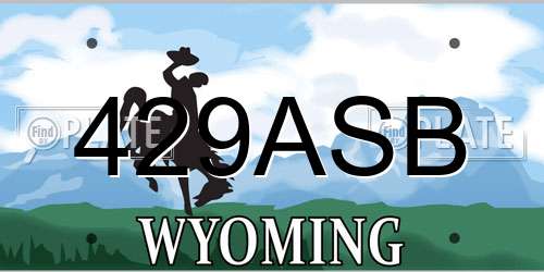 429ASB Wyoming License Plate