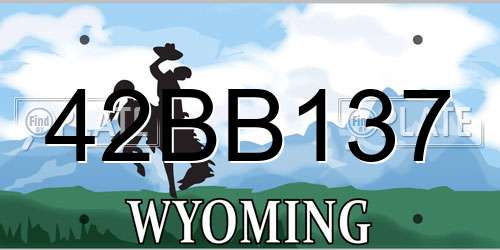 42BB137 Wyoming License Plate