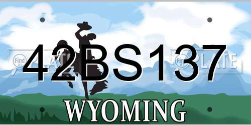 42BS137 Wyoming License Plate