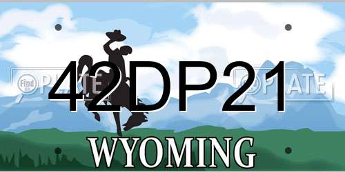 42DP21 Wyoming License Plate