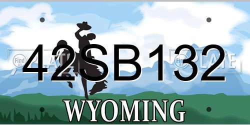 42SB132 Wyoming License Plate