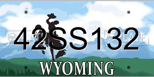 42SS132 Wyoming License Plate