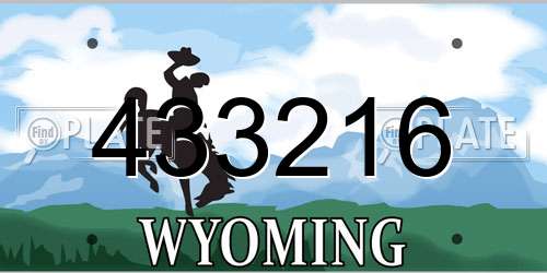 433216 Wyoming License Plate