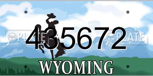 435672 Wyoming License Plate
