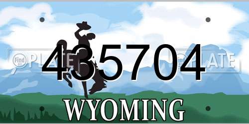 435704 Wyoming License Plate