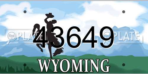 43649 Wyoming License Plate