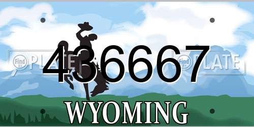 436667 Wyoming License Plate