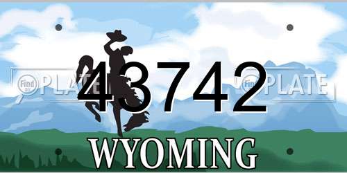43742 Wyoming License Plate