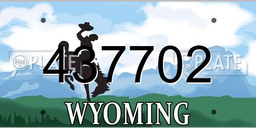 437702 Wyoming License Plate