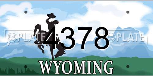4378 Wyoming License Plate